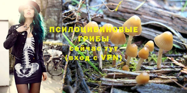 jwh Горнозаводск
