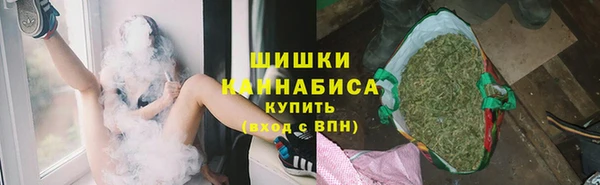 шишки Лагань