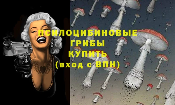 марки nbome Горняк