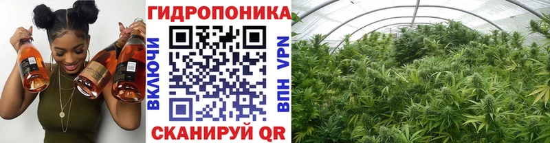 Канабис семена купить наркоту Малмыж